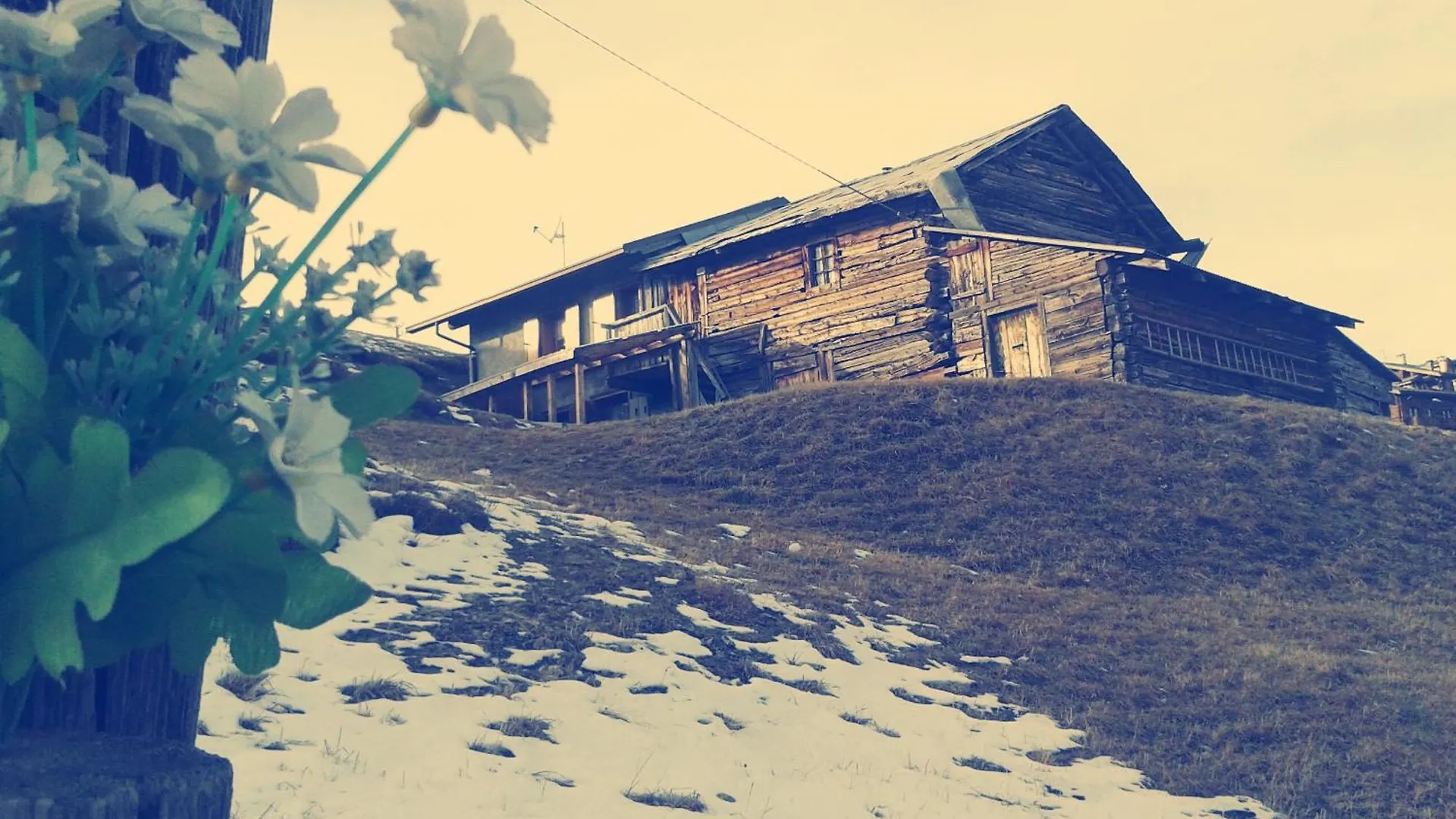Hotel La Tea Livigno